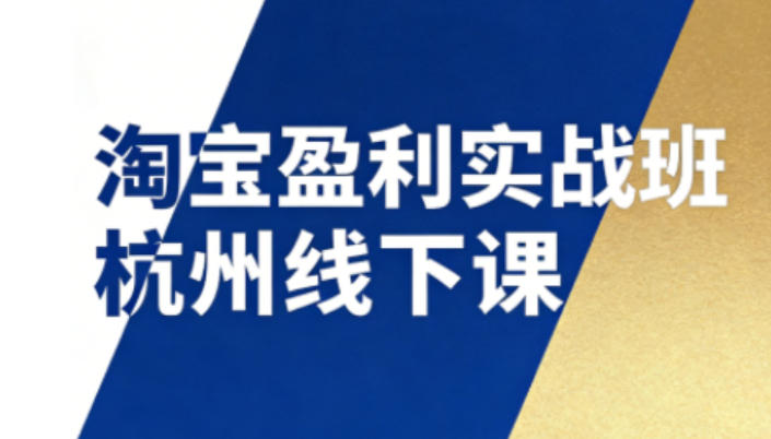 淘宝盈利实战班杭州线下课12月26-28日(音频+字幕)，帮你掌握SOP流程+12门核心技术-极速搞钱指南