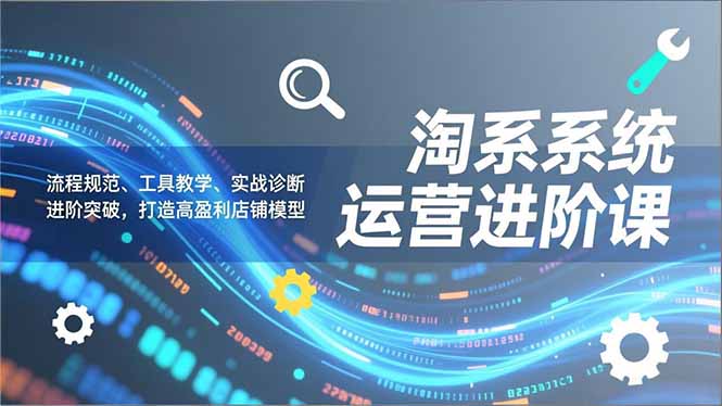 淘系系统运营进阶课2.0，流程规范、工具教学、实战诊断，进阶突破，打造高盈利店铺模型-极速搞钱指南