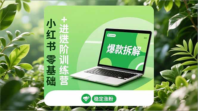 小红书零基础+高阶训练营：安全养号、爆款拆解、长效运营，实现稳定涨粉与变现-极速搞钱指南