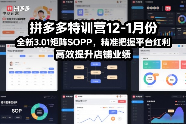 拼多多特训营12-1月份，全新3.01矩阵Sop，精准把握平台红利，高效提升店铺业绩-极速搞钱指南