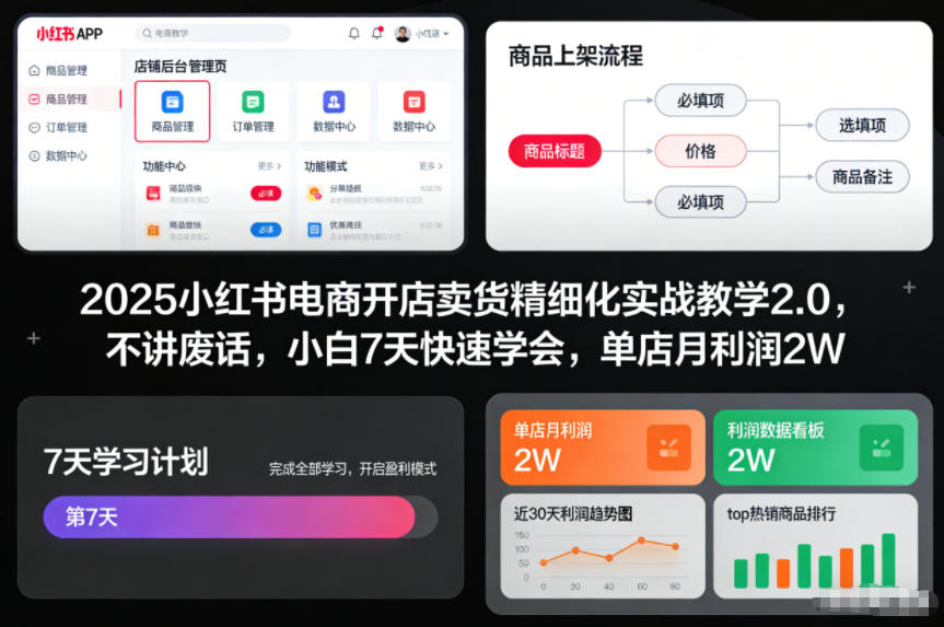 2025小红书电商开店卖货精细化实战教学2.0，不讲废话，小白7天快速学会，单店月利润2W-极速搞钱指南