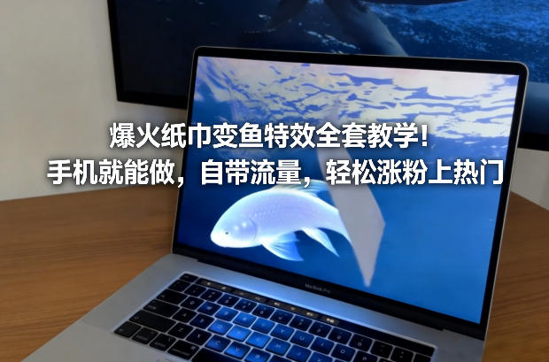 爆火纸巾变鱼特效全套教学！手机就能做，自带流量，轻松涨粉上热门-极速搞钱指南