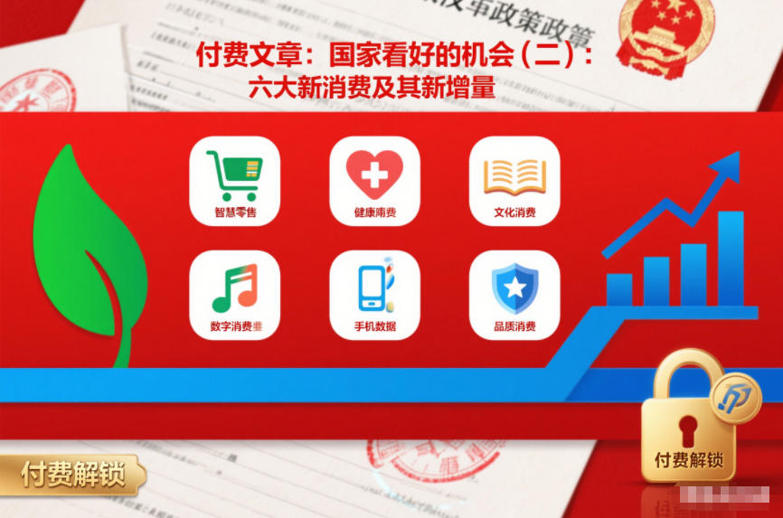 付费文章：国家看好的机会(二)：六大新消费及其新增量-极速搞钱指南