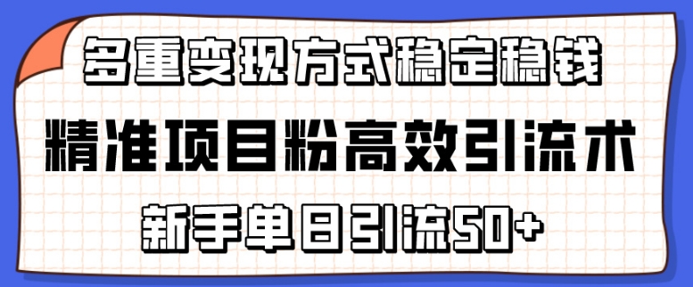 精准项目粉高效引流术，新手单日引流50+，多重变现方式稳定赚钱-极速搞钱指南