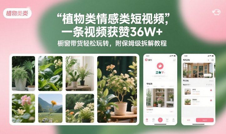 植物类情感类短视频，一条视频获赞36W+，橱窗带货轻松玩转，附保姆级拆解教程-极速搞钱指南