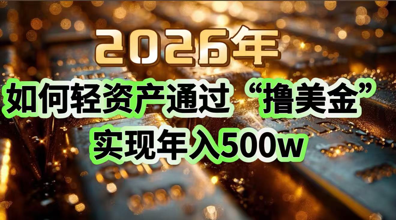 2026年如何轻资产通过“撸美金”实现年入500w-极速搞钱指南
