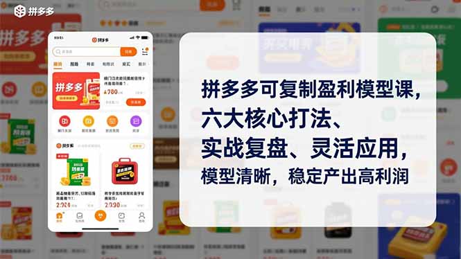 拼多多可复制盈利模型课，六大核心打法、实战复盘、灵活应用，模型清晰，稳定产出高利润-极速搞钱指南