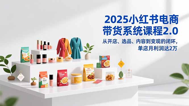 2025小红书电商带货系统课程2.0，从开店、选品、内容到变现的闭环，单店月利润达2万-极速搞钱指南