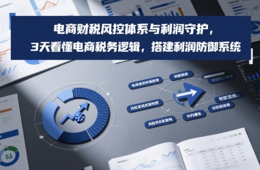 电商财税风控体系与利润守护，3天看懂电商税务逻辑，搭建利润防御系统-极速搞钱指南