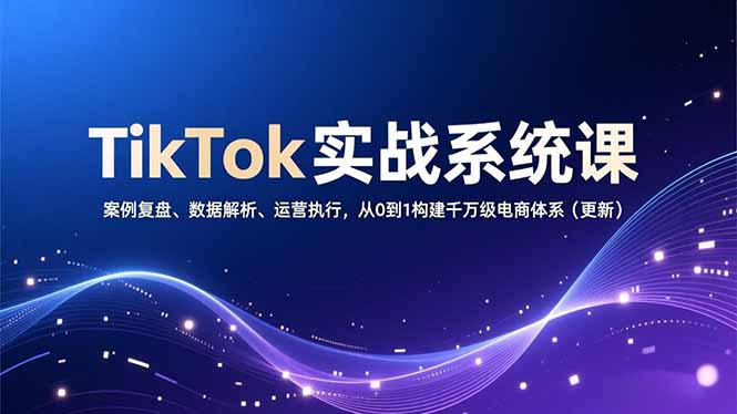 TikTok实战系统课，案例复盘、数据解析、运营执行，从0到1构建千万级电商体系(更新-极速搞钱指南