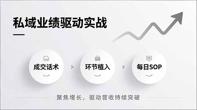 私域业绩驱动实战，成交话术、环节植入、每日SOP，聚焦增长，驱动营收持续突破-极速搞钱指南