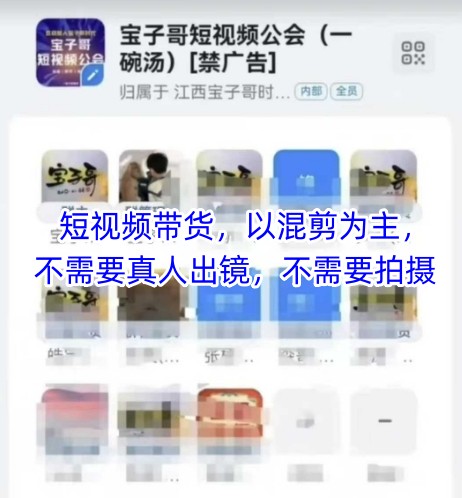 宝子哥头部团队短视频带货，以混剪为主，不需要真人出镜，不需要拍摄【更新12月】-极速搞钱指南