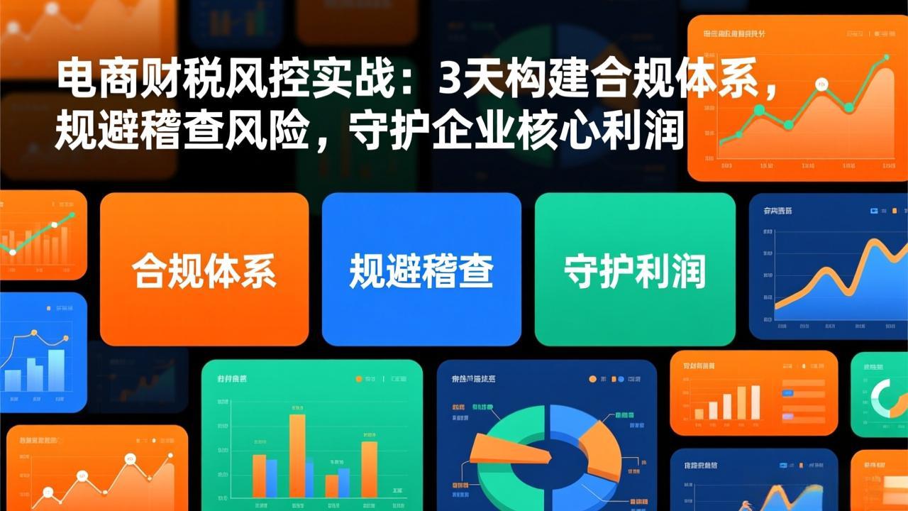 电商财税风控实战：3天构建合规体系，规避稽查风险，守护企业核心利润-极速搞钱指南