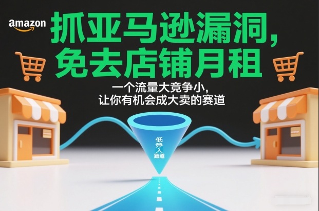抓亚马逊漏洞，免去店铺月租，一个流量大竞争小，让你有机会成大卖的赛道-极速搞钱指南