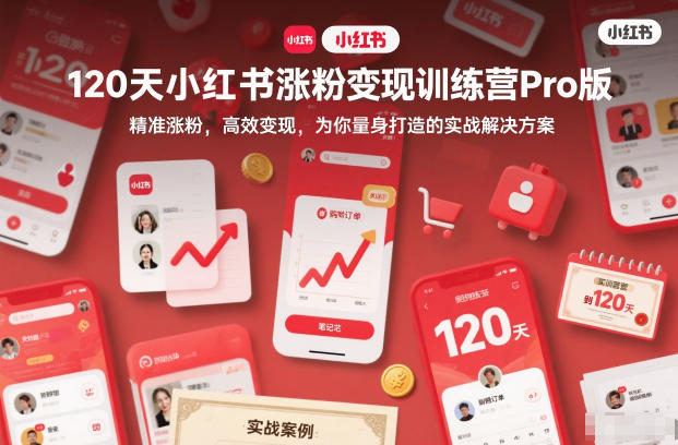 120天小红书涨粉变现训练营Pro版，精准涨粉，高效变现，为你量身打造的实战解决方案-极速搞钱指南